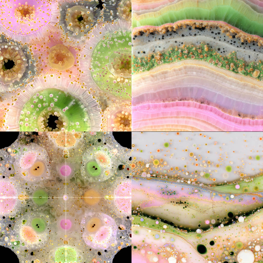 Organic Microcosms