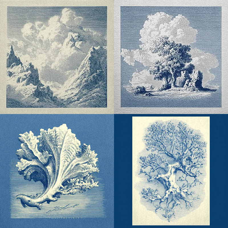 Antique Engraving Prints