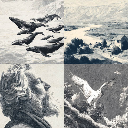 Vintage Engraving Realism